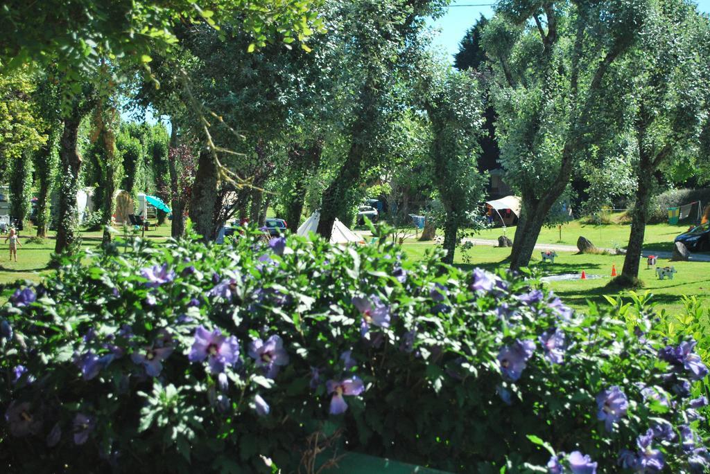 Camping les Tournesols Sillé-le-Guillaume Extérieur photo
