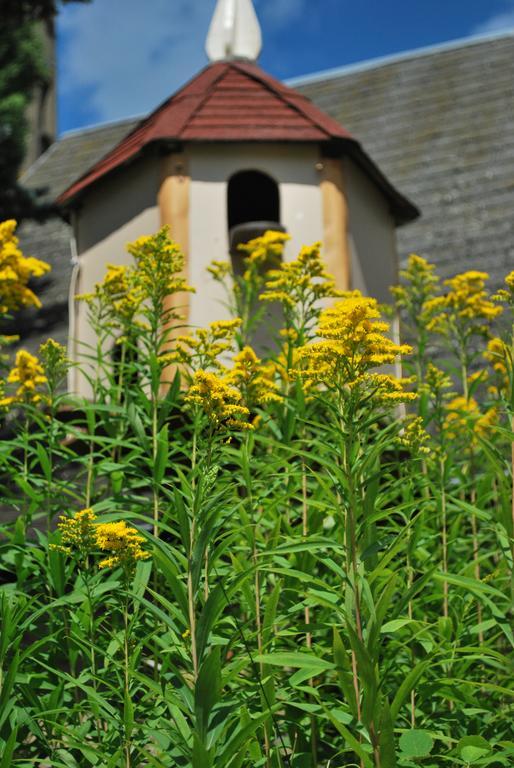 Camping les Tournesols Sillé-le-Guillaume Extérieur photo