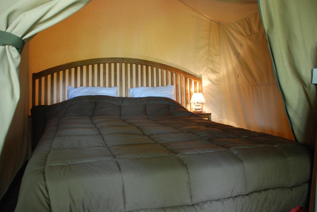 Camping les Tournesols Sillé-le-Guillaume Extérieur photo