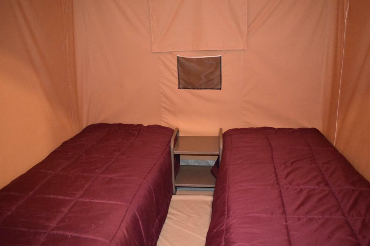 Camping les Tournesols Sillé-le-Guillaume Extérieur photo